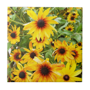 Black Eyed Susan Tegeltje
