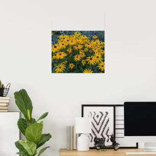 Black Eyed Susan Tuin Bloemen Poster