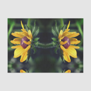 Black Eyed Susan Unfolding Abstract ontkoppeling Tissuepapier
