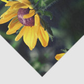 Black Eyed Susan Unfolding Abstract ontkoppeling Tissuepapier (Detail)