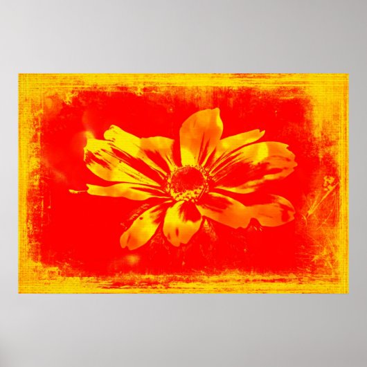 Black-Eyed Susan Wildflower - Digitale kunst Poster (Voorkant)