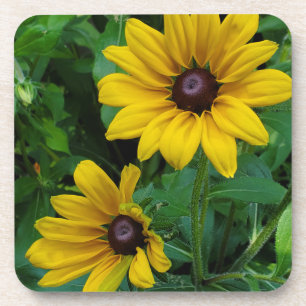 Black-Eyed Susans Bier Onderzetter