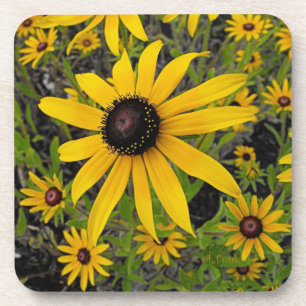 Black Eyed Susans Drankjes Onderzetter