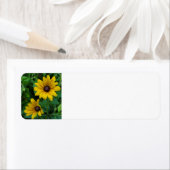 Black-Eyed Susans Etiket (Insitu)