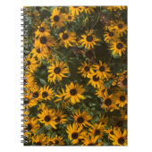 Black eyed Susan's Flowers, Floral, Photography Notitieboek (Voorkant)