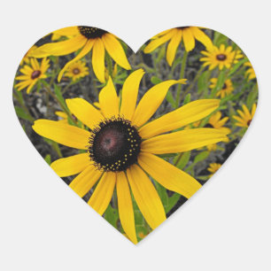 Black Eyed Susans Hart Sticker