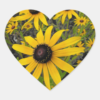 Black Eyed Susans Hart Sticker