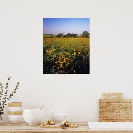 Black eyed Susans in tallgrasprairie bij Neil Poster (Keuken)