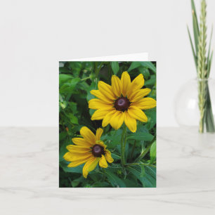 Black-Eyed Susans Kaart