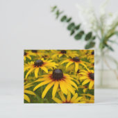 Black Eyed Susans Perspective Post Card Briefkaart (Staand voorkant)
