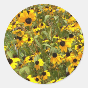 Black-Eyed Susans Ronde Sticker