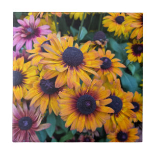 Black-Eyed Susans Tegeltje