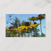 Black eyed Susans Visitekaartje (Achterkant)