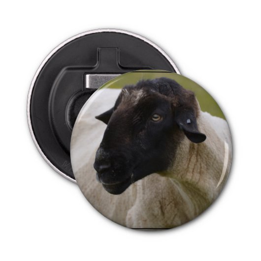 Black Faced Sheep Button Flesopener (Voorkant)