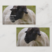 Black Faced Sheep Visitekaartje (Voorkant / Achterkant)