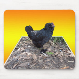 Black Fluffy Rooster Dimensional Art Muismat