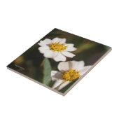 Black Foot Daisy Tegeltje (Zijkant)