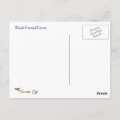 Black Footed Ferret Wildlife Series # 7 Carte post (Dos)