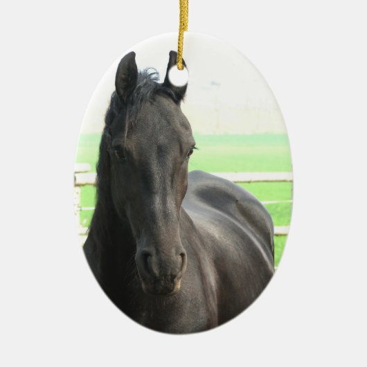 Black Friesian Horse Ornament (Voorkant)