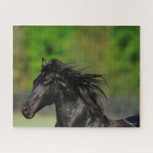 Black Friesian Horse Stallion Headshot Legpuzzel