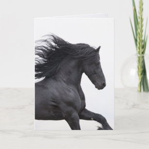 Black Friesian Runs Horse Wenskaart Kaart