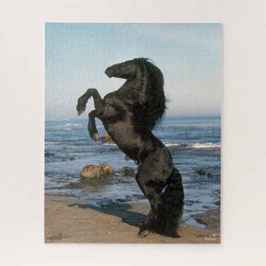 Black Friesian Stallion op strand Legpuzzel (Verticaal)