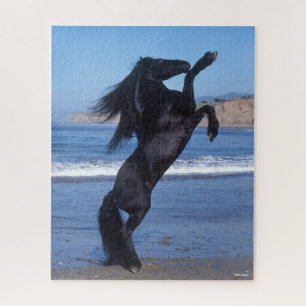 Black Friesian Stallion op strand Legpuzzel
