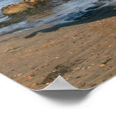 Black Friesian Stallion op strand Poster (Hoek)