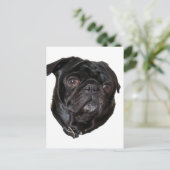 Black Funny Pug Briefkaart (Staand voorkant)