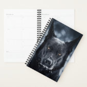 Black German Shepherd (Devant avec enveloppe)
