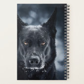 Black German Shepherd (Dos)