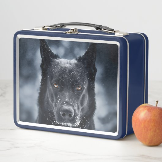 Black German Shepherd (In situ)