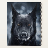 Black German Shepherd (Dos)