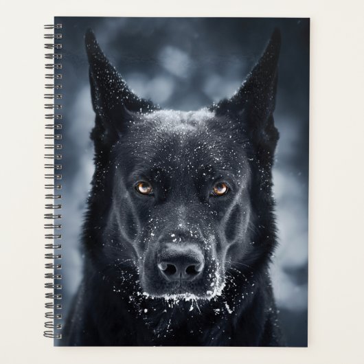 Black German Shepherd (Devant)