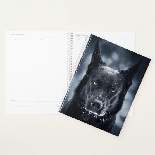 Black German Shepherd (Devant avec enveloppe)