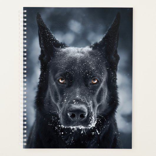 Black German Shepherd (Devant)
