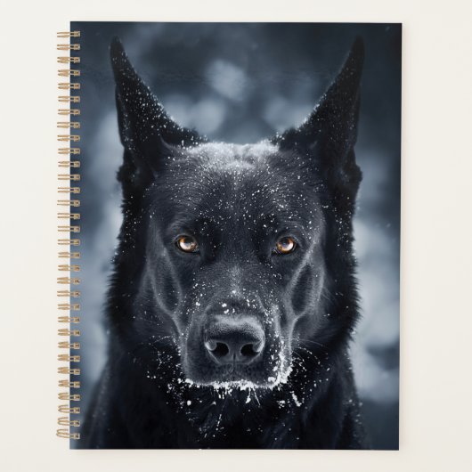 Black German Shepherd (Devant)