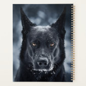 Black German Shepherd (Dos)