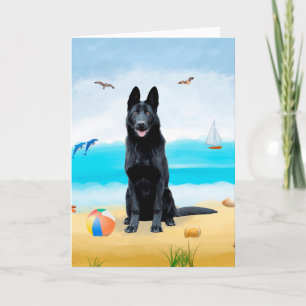 Black German Shepherd Dog on Beach Kaart