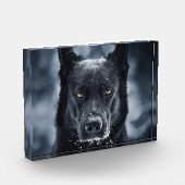 Black German Shepherd Fotoblokken (Links)