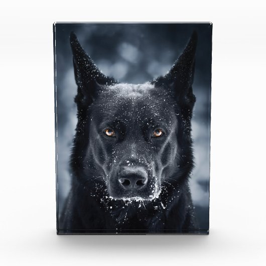 Black German Shepherd Fotoblokken (Voorkant)