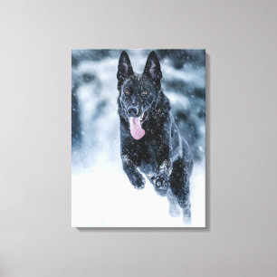 Black German Shepherd in snow Duvet Cover Canvas Afdruk