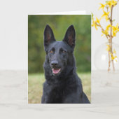 Black German Shepherd Kaart (Gele Bloem)