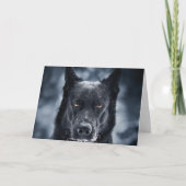 Black German Shepherd Kaart (Voorkant)