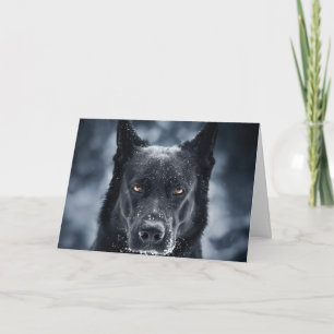 Black German Shepherd Kaart