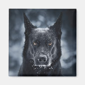 Black German Shepherd Magneet (Voorkant)