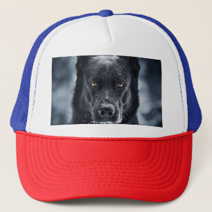 Black German Shepherd Trucker Pet