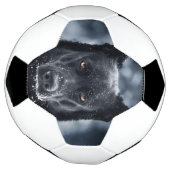 Black German Shepherd Voetbal (Gedraaid)