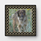 Black Gold Frame Photo Template Plaque (Devant)