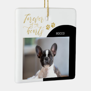 Black & Gold Pet Memorial Forever Foto Ornamenten